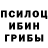 Псилоцибиновые грибы MAGIC MUSHROOMS Danya Aliev