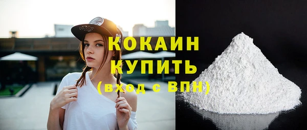 твердый Гусев