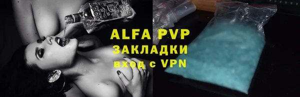 гидра Горнозаводск