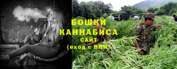 гидра Горнозаводск