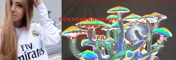 меф Горняк
