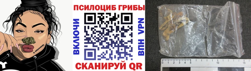 Купить закладки  Кизел  Псилоцибиновые грибы Psilocybine cubensis 